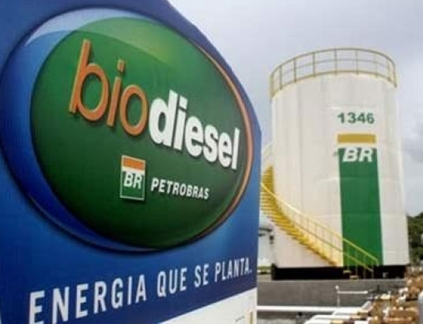 Petrobras defende concorrência no segmento de biocombustíveis